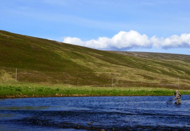 Paul Procter Hosted Trip Report –  Iceland Brown Trout