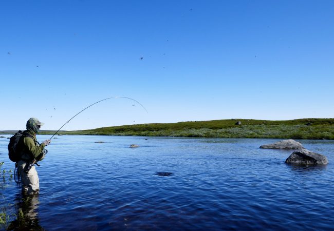 Varzina Trout Camp – Paul Procter Hosted Trip Report