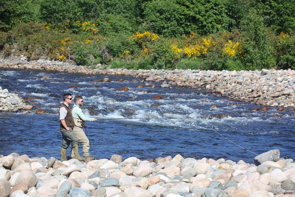 uk-glen-tanar-01